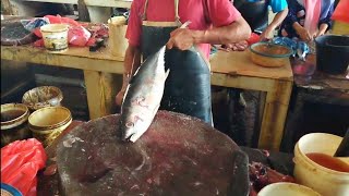 1000 Dollar Amerika  Skills In Cutting Tuna Shadow Fish the Most Expensive Fish In The World [upl. by Vincents]