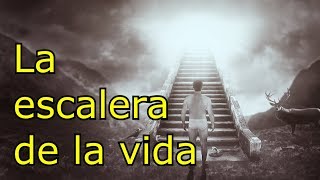 La escalera de la vida [upl. by Assyral860]