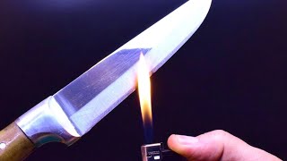 5 Knife Sharpening Secrets You Didnt Know [upl. by Airitak29]