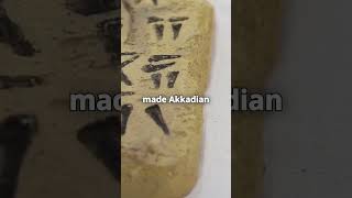 How the Akkadian Empire Changed History foryou history empire facts fypシ゚viral [upl. by Yanetruoc376]