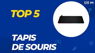 Top 5 Meilleur Tapis de Souris 2024  Les 5 Tapis de Souris Modèles [upl. by Rehotsirhc]