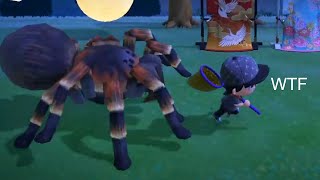 Best Animal Crossing New Horizons Clips 61 [upl. by Sellihca764]