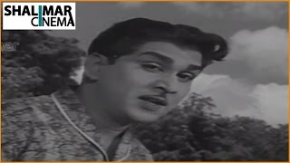 Zamindar Movie 1965  Aa Navvula Kosame Video Song  Nageswara Rao Krishna Kumari [upl. by Skinner]