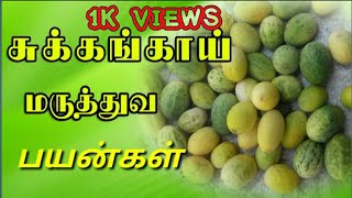 சுக்கங்காய் மருத்துவ பயன்கள்2020in tamilcucumis melo var herbal plantமல்லி மூலிகை [upl. by Henrieta892]