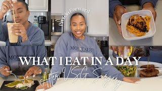 What I Eat in a Day  Easy HighProtein Meals After Bariatric Surgery VSG [upl. by Nal443]