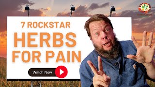 Top 7 Herbs Clinical Naturopath and Herbalist Uses For Pain [upl. by Xerxes]