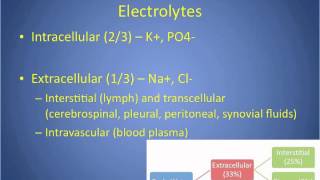 Fluid amp Electrolyte Basics [upl. by Judas]