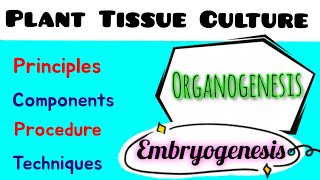 Plant Tissue Culture  Principle components  techniques  Embryogenesis  Organogenesis [upl. by Lucy]