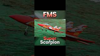 Super Scorpion FMS 90mm EDF [upl. by Rollins]