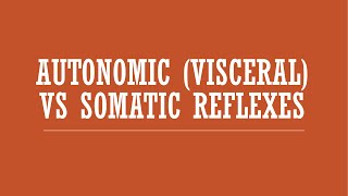 Reflexes Autonomic Visceral Reflexes vs Somatic Reflexes [upl. by Seerdi]