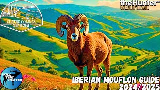 Cuatro Colinas Iberian Mouflon Guide  TheHunter Call Of The Wild 2425 [upl. by Irv]