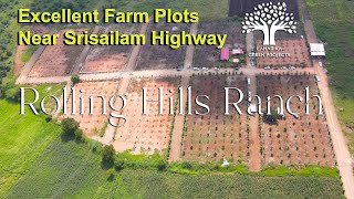 Excellent Farm Lands Near Future City Mucherla  Rolling Hills Ranch on Srisailam Highway [upl. by Enelav]