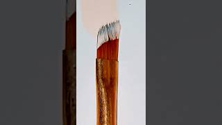 Paint brush for beginners 😄😄 short viral [upl. by Mavra]