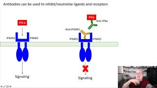 44 Antibody Applications I [upl. by Sadira945]