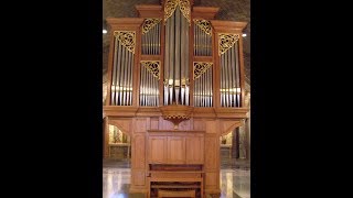 Vierne Clair de Lune on National Shrine Pipe Organ [upl. by Ilyk]