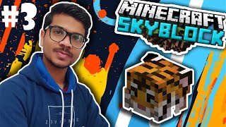 My First Pet in Minecraft Hypixel Skyblock  Part 3 [upl. by Antonino]