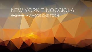 negramaro  New York e nocciola Audio ufficiale [upl. by Doelling]