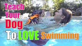 How to Teach Your Dog to Love WATER amp SWIMMING [upl. by Ahsotan]