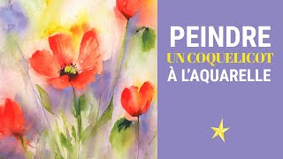 Peindre des coquelicots à laquarelle [upl. by Helgeson]