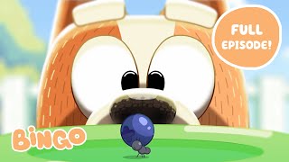 Bingo 🧡 FULL EPISODE  Bluey Series 2  Bingo  Official Channel [upl. by Teena]