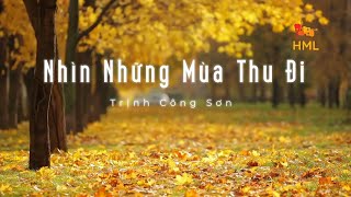 Karaoke  Nhìn Những Mùa Thu Đi Tone Nam [upl. by Quintana797]