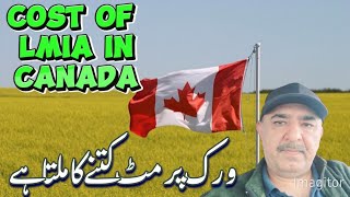 Cost of LMIA or Work Permit in Canada🇨🇦💵lmia workpermitvisa [upl. by Idnew282]