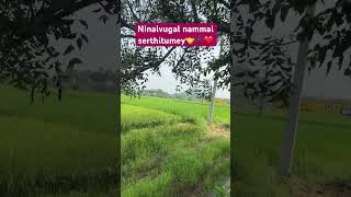 tamil tamilsong best youtube keralagram [upl. by Anahpets]