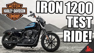 IRON 1200 Test Ride  2018 HarleyDavidson Sportster [upl. by Ikkim326]