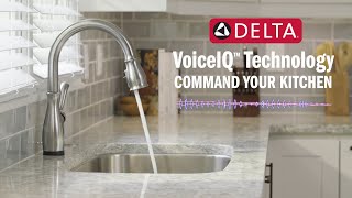 Delta® VoiceIQ® Technology Command Your Kitchen HandsFree [upl. by Wolff]