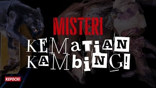 Misteri Kemian Kambing [upl. by Tterb]