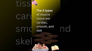 Types of muscle tissue three types of muscle tissue muscletyoes muscle tissue youtubeshorts [upl. by Ikaz]