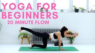 Yoga For Beginners 🙏 20 Minute Yoga Flow  HMFYOGA [upl. by Nevins]