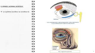 ANATOMIE FMPM GLANDES ET VOIES LACRYMALES [upl. by Jacinto]