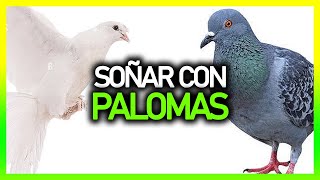 ► Qué significa SOÑAR CON PALOMAS 🕊️  Significado de los sueños 💤 [upl. by Kerrill]