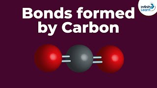 Bonds formed by Carbon  Dont Memorise [upl. by Acirahs800]