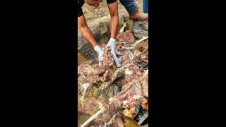 How Pueblastyle GOAT Barbacoa gets cooked underground [upl. by Doralyn]