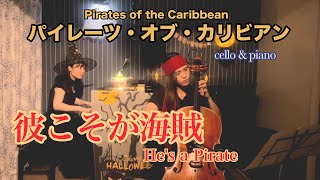 彼こそが海賊Pirates of the Caribbeancello amp piano [upl. by Ahsikit]