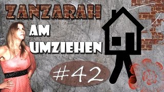 Zanzarah am Umziehen 42 Laminatlieferung in 3 Minuten Vlog [upl. by Tichon]