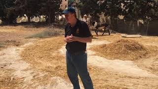 The Threshing Floor in Nazareth [upl. by Tildie98]