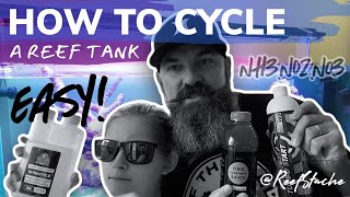 🦠 How to Cycle a Reef Tank ReefStash CADE build continues [upl. by Akyre806]