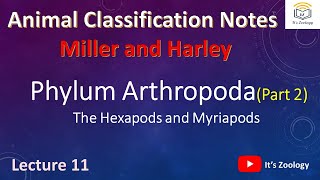 Phylum Arthropoda  Part 2  Hexapods  Myriapods  Animal Classification Notes  Lecture 11 [upl. by Anihpesoj750]