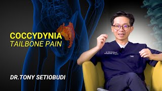 🔴WHY YOUR TAILBONE HURTS AND HOW TO MAKE IT STOP 🚫  SECOND OPINIONDR TONY SETIOBUDI [upl. by Bardo487]