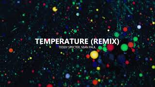 Temperature  Sean Paul Teddy Specter Remix [upl. by Atilrac]