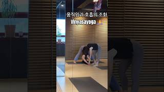 빈야사요가 vinyasa vinyasayoga yoga yogalife yogateacher 요가 아침요가 [upl. by Celestyn152]