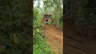 Bulldozer D6R XL pushing the ground for road widening in the forest bulldozer heavyequipment [upl. by Fortunio]