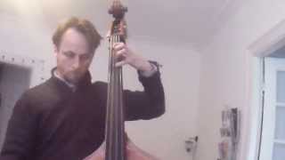 Double Bass lesson 1  First Position Intonation [upl. by Inah]