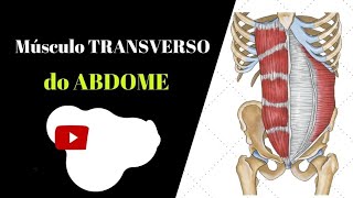 Melhor forma de ativação do transverso abdominal [upl. by Aldercy532]