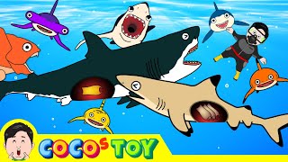 60minㅣCoCosToys wellmade stories best collection 2ㅣwhales amp sharks for kidsㅣCoCosToy [upl. by Daune250]