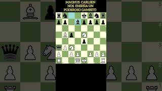 MAGNUS CARLSEN poderoso GAMBITO ataque NimsoLarzen [upl. by Bathelda]