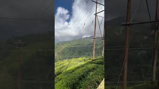 Greenery hillyareas travel freshairyoutubeshortsviral bollywood love music [upl. by Still]